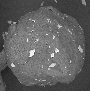 ESEM imaging of MCC spheres dry coated with talc particles