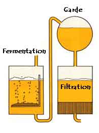 La fermentation, la garde et la filtration