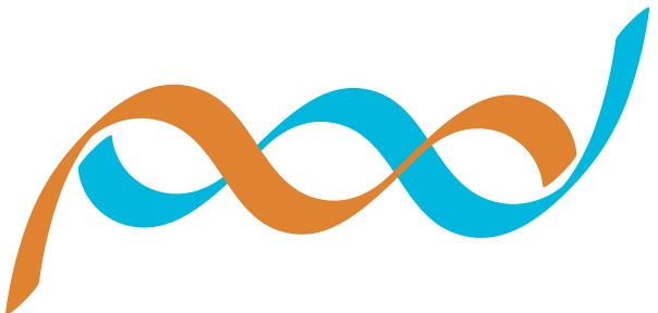 Physics of Decision logo